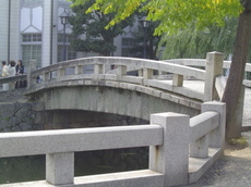 DSC09043中橋.JPG